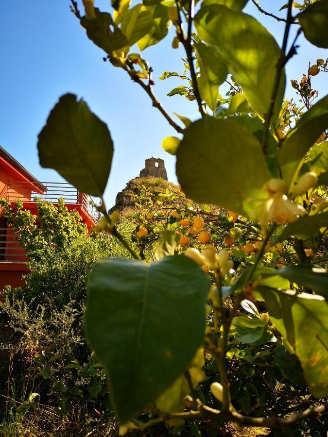 B&B La Torre Belvedere Marittimo Exterior foto